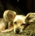 Cecil Brannon - Facebook