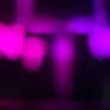 Cecil Bush - @cecil.bush - TikTok