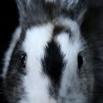 cécil butcher - @frithyeerfarm - Instagram