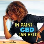 Cecil Calliste Jr. - @thecbdbusinessman - Instagram