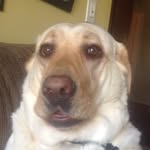 @cecil_carty - Instagram
