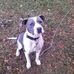 Cecil Case - Facebook