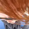 Ceciliscaseohfr - @ceciliscaseohfr - TikTok