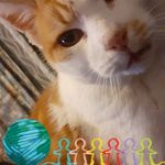 Cecil Chambers - @cecilchambers1978 - Instagram
