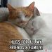Cecilia Chaney - Facebook