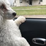 Cecil Clark - @cecilclark46 - Instagram