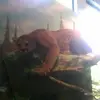 cecilmccollum - @cecilmccollum - TikTok