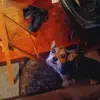 cecildouglassr - @cecildouglassr - TikTok