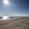 cecily - @cecilyduke - TikTok