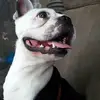 eddyceciliapallar - @eddyceciliapallar - TikTok