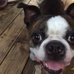 proud child of @stella.cooper - @ceddycecil - Instagram