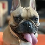 Cecilia Tuttle Floyd - @ceciliafloyd - Instagram
