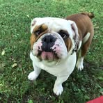 Cecil Garrett - Facebook