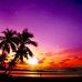 Cecilia Jentges - Facebook