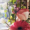 cecillee__ - @cecillee__ - TikTok