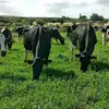 cecilia .lockhart - @cecilia..lockhart - TikTok