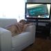 Cecil Meyer - Facebook