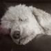 Cecil Moore - Facebook