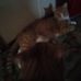 Cecille Perkins - Facebook