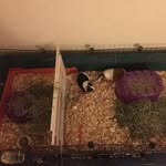 @cecilperkins - Instagram