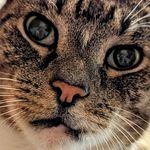 Cecil Phillips - @cecil353 - Instagram