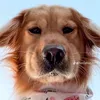 Phillips Cecil - @phillips.cecil - TikTok