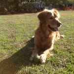 cecilporter - @cecilporter - Instagram