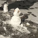 @cecil_snowman - Instagram