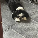 CeceLappys85;) - @cecillapthorne77 - Instagram