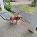 Cecil Ward - Facebook