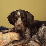Cecil Ward - @cecilward - Instagram