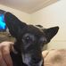 Cecil R. Bishop II - Facebook