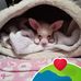 Cecile Johnson - Facebook