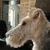 Cécile Rochefort - @ccile.rochefort - TikTok