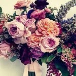 CécileWaat - @cecile_watts - Instagram