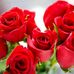 Cecilia Apodaca - Facebook