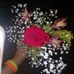Cecilia Ceja - Facebook
