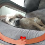 Cecilia Espitia - Facebook