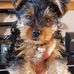 Cecilia Gibson - Facebook