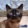ceciliagraf667 - @ceciliagraf667 - TikTok