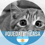 Cecilia Jones - @cecilia.jones.750 - Instagram