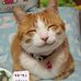 Cecilia Kwan - Facebook