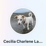 Cecilia Charlene Lancaster - @ceclancaster - Instagram
