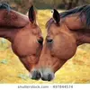 cecilia.larson - @cecilia.larson - TikTok