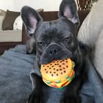 Cecilia Lee Andersson - @ciccilee - Instagram