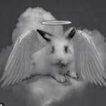 Adriana Cecilia Maier Sánchez - @yoloriana_x_pando.17 - Instagram