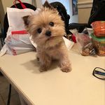 Cecilia DeTorfino Manning - @detorfinomanning - Instagram