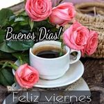 Cecilia Marte - @martelunacecilia - Instagram