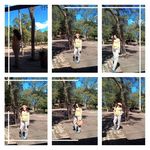 Cecilia Navarrete - @cecilia_navarrete - Instagram