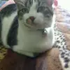 Cecilia Olivarez - @ceciliaolivarez - TikTok